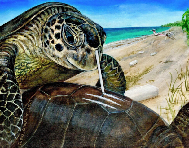 Turtles like to have a good time too