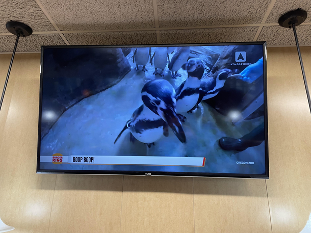 TV at Burger King frozen on appropriately penguins