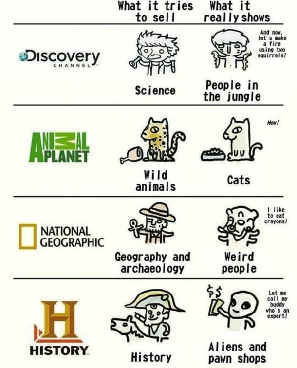TV Channels