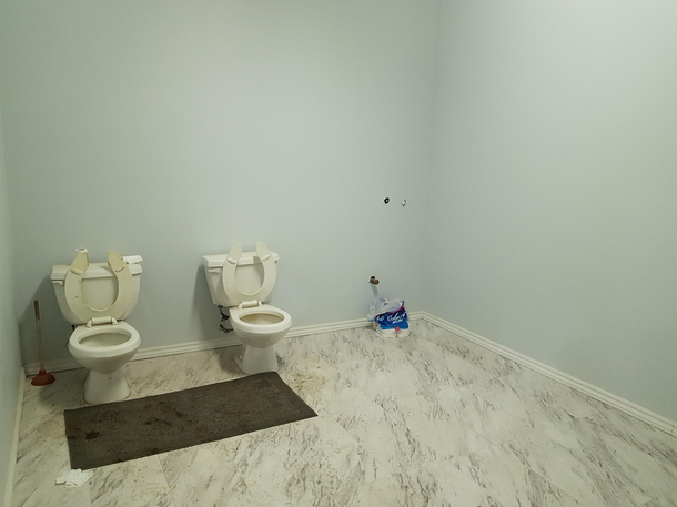 twin toilets