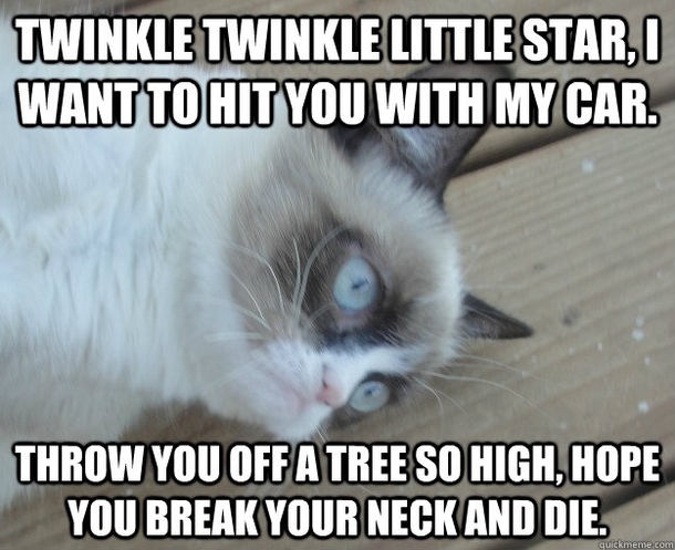 Twinkle twinkle 