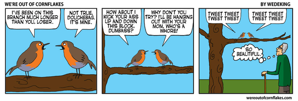 Two birds having an argument