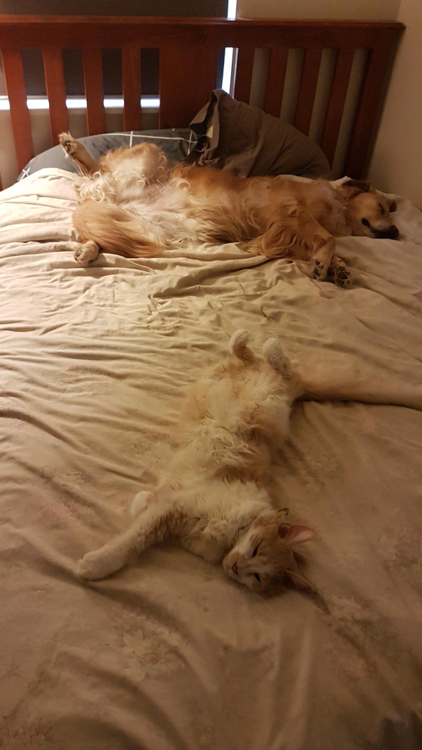 Two hot blondes spread eagled on the bed
