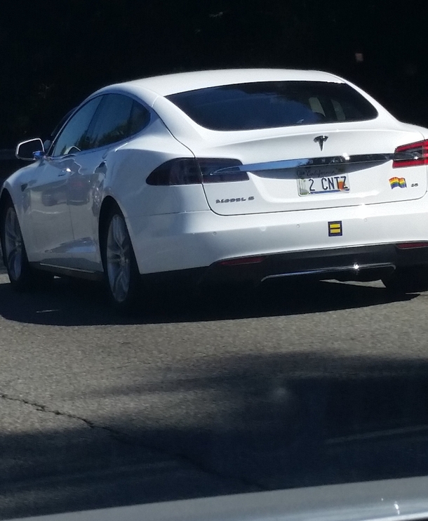 Two sweet old ladies driving a Tesla with equalityrainbow stickers and that license plate
