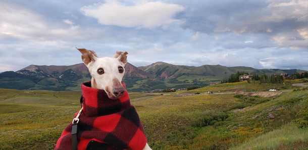 Tyler in Crested Butte CO