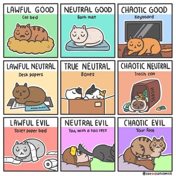 Types of cats