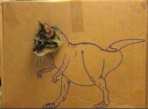 Tyrannocatrus Box