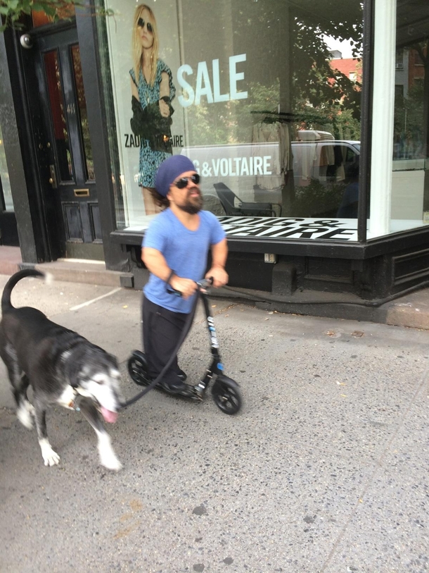 Tyrion Lannister Riding a Razor Walking a Wolf NYC 