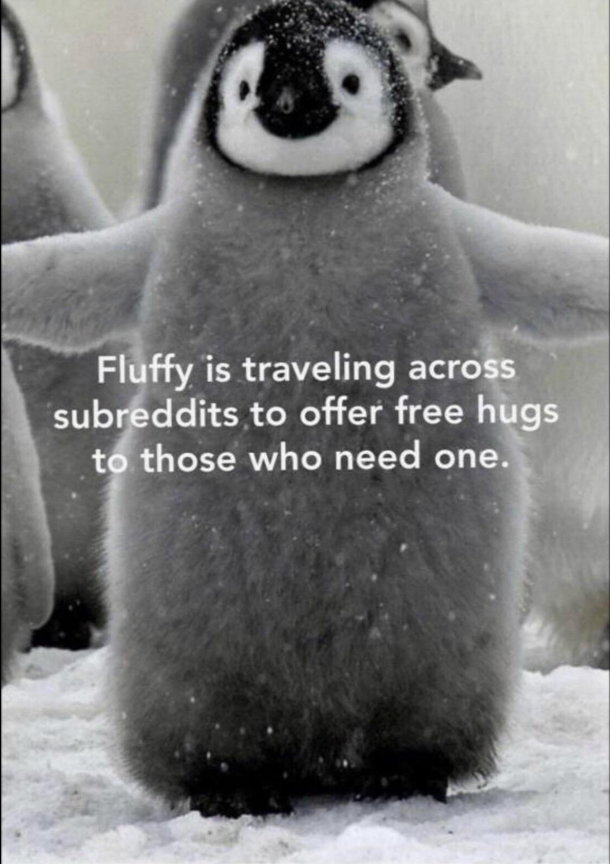 U better not be allergic to hugs