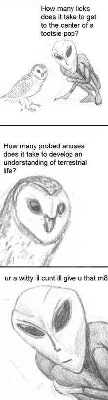 u r  cheeky fookin owl m