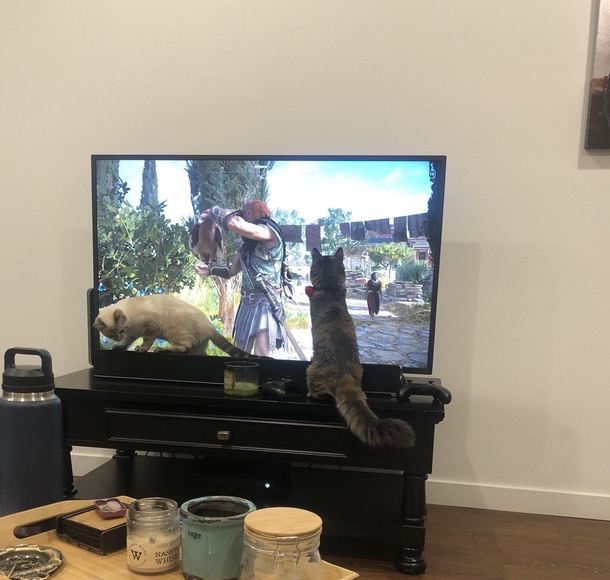Ubisoft please put less birds in Odyssey