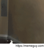 UFO Kitty
