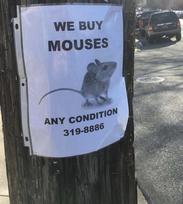 Uhh what