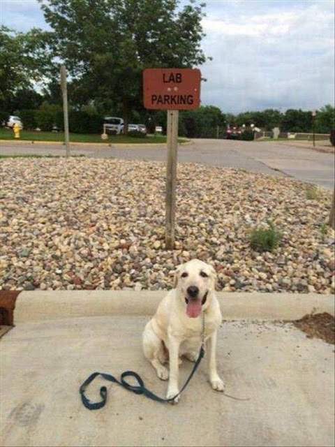 Um Fido I dont think this is how this works