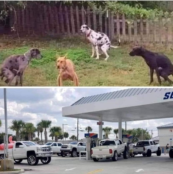 Uncanny Resemblance