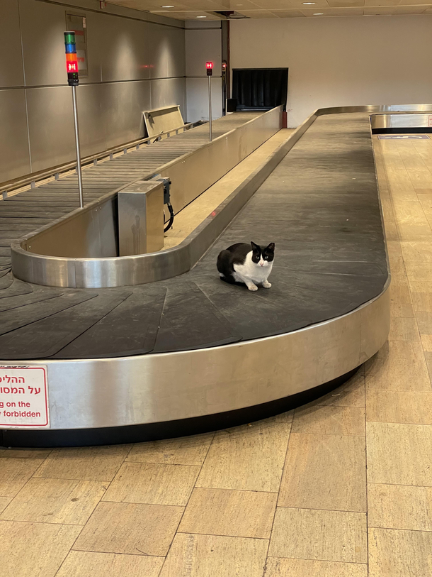 Unclaimed luggage anyone