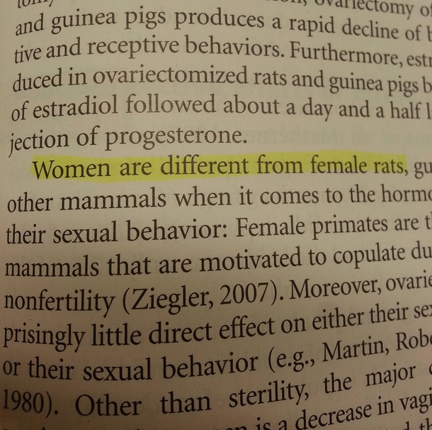 Understanding Women The Basics