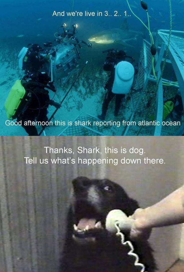 Underwater report fixed