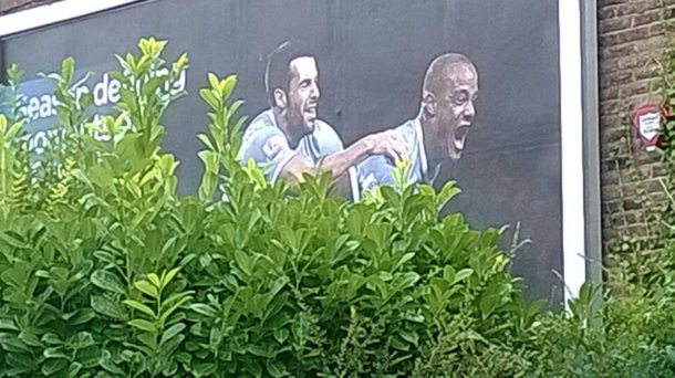 Unfortunate bush placement