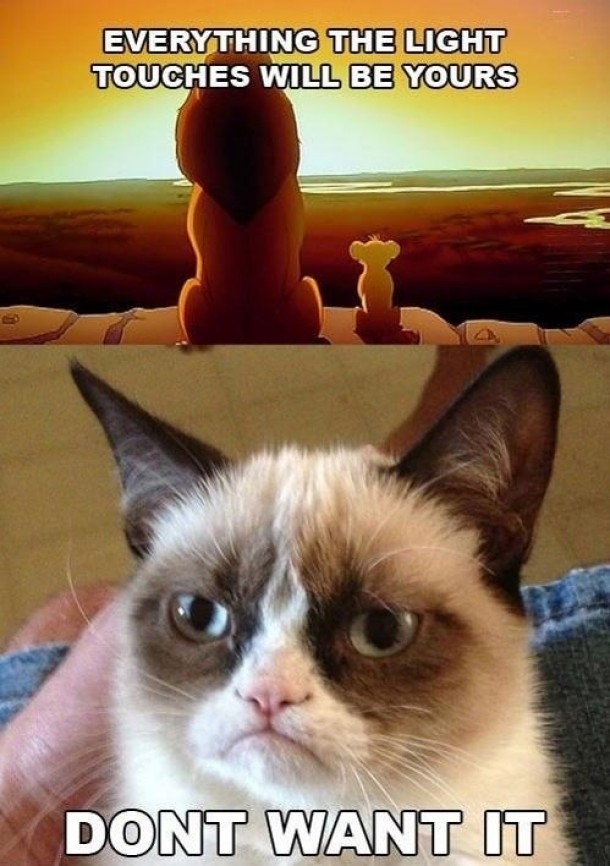 Ungrateful grumpy cat