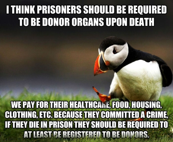 Unpopular Opinion Puffin