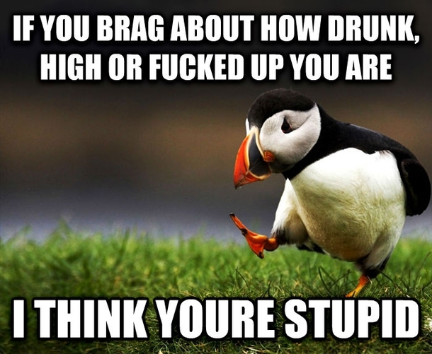 Unpopular Opinion Puffin