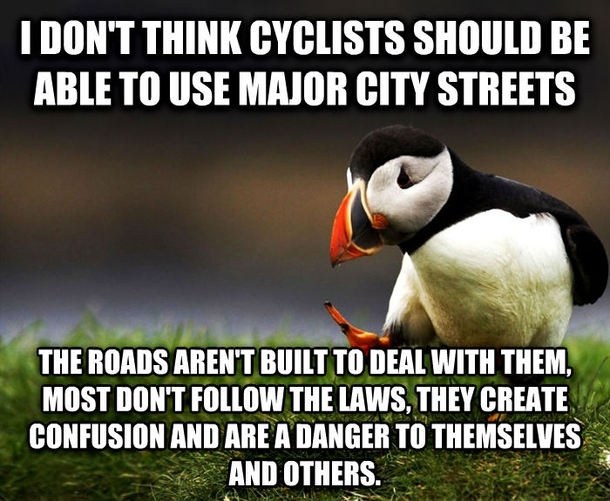 Unpopular Opinion Puffin to the cyclist whose head I almost crushed when he fell off his bike and into my lane in a Chicago blizzard last night