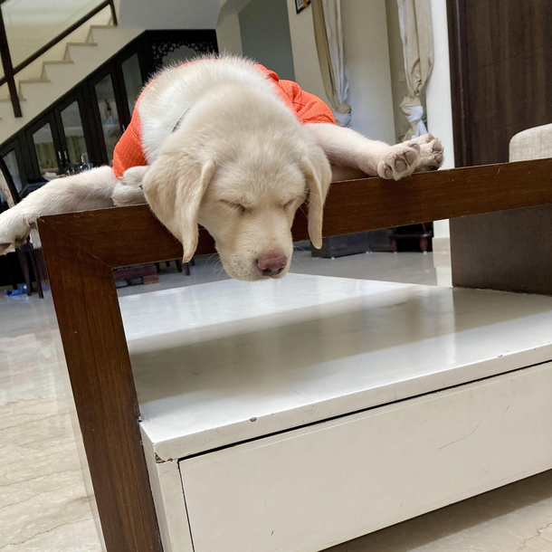 Unveiling the sleeping yoga position
