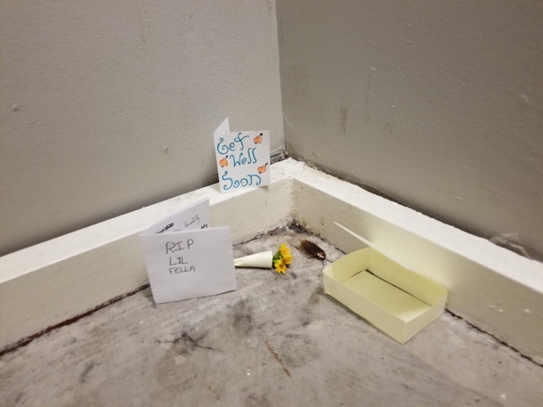 UPDATE More co-workers have paid their respects to Rodney the roach