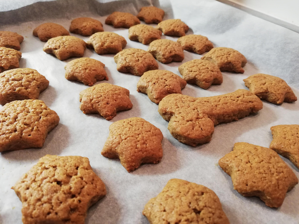 Update on the gingerbread cookies They turned out great