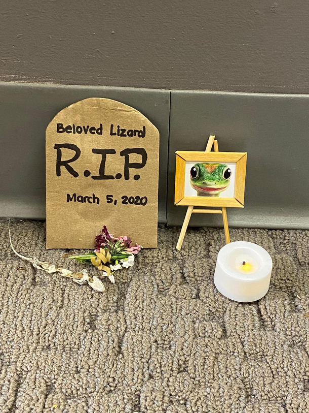 Update our office lizard monument keeps growing