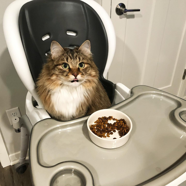 Update we caved the high chair is now for her