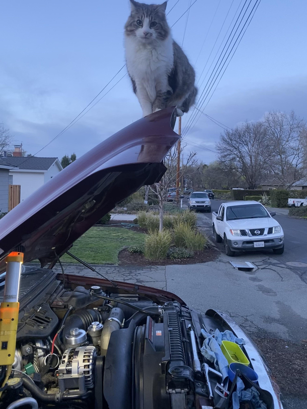 Upper management came to supervise the vehicle repair