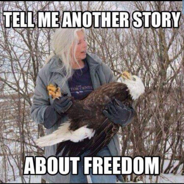 USA USA USA