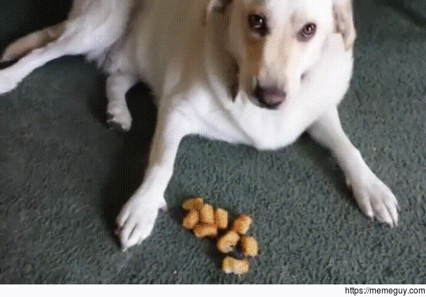Vacuum noises