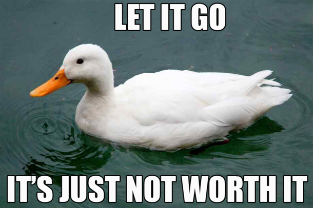 Vague Advice Duck