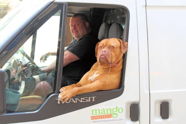 Van driver and his mate in Fleet Street London