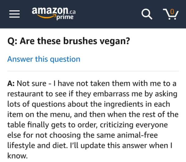 vegan makeup brushes