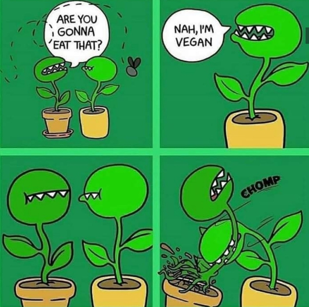 Vegans are bad