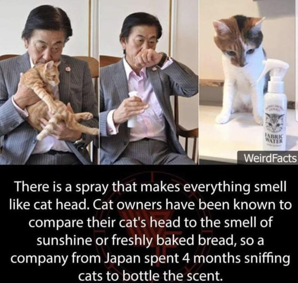 Very intriguing title