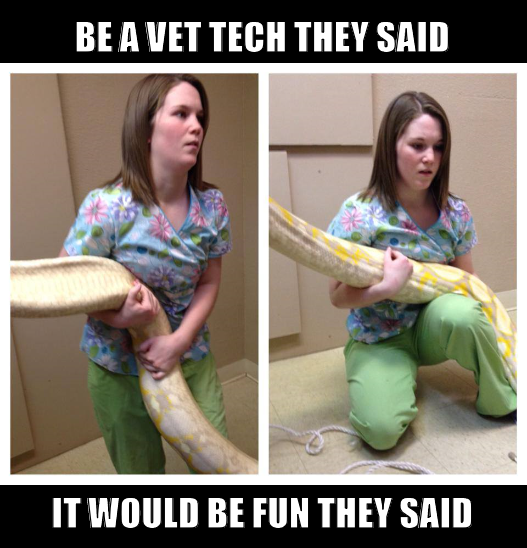 Vet tech regrets I love my job but sometimes I face things I dont think I can handle