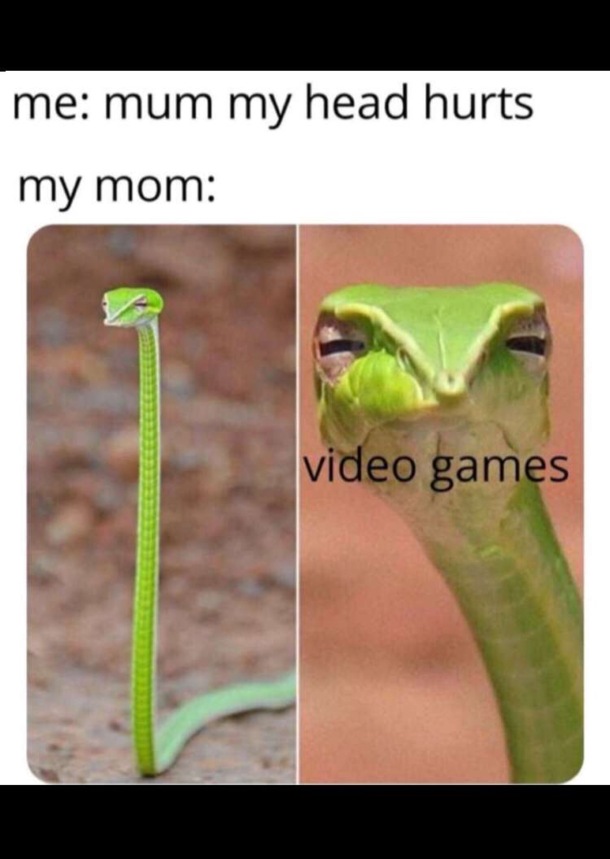 ViDeO GamES