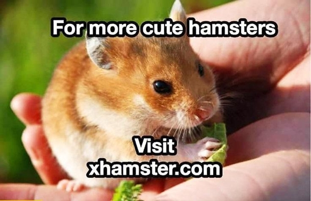 Visit at your own risk