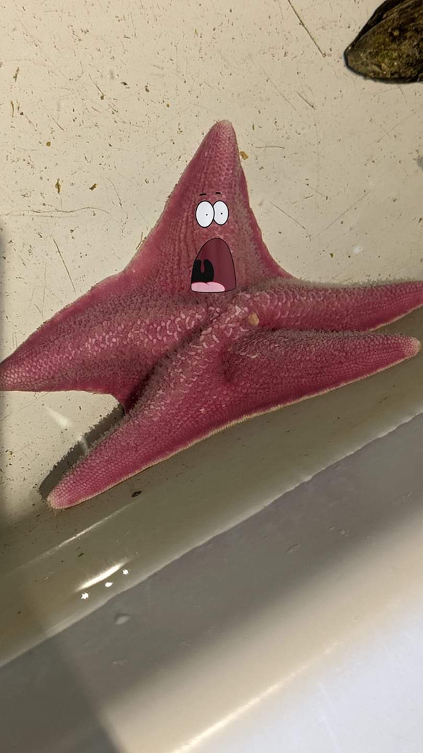 Visited an aquarium today