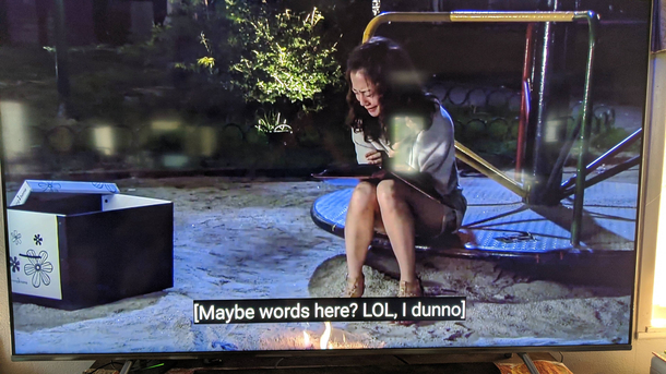 Volunteer subtitles are the best