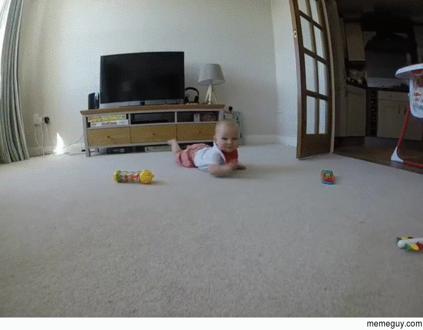 Wait for it  nom