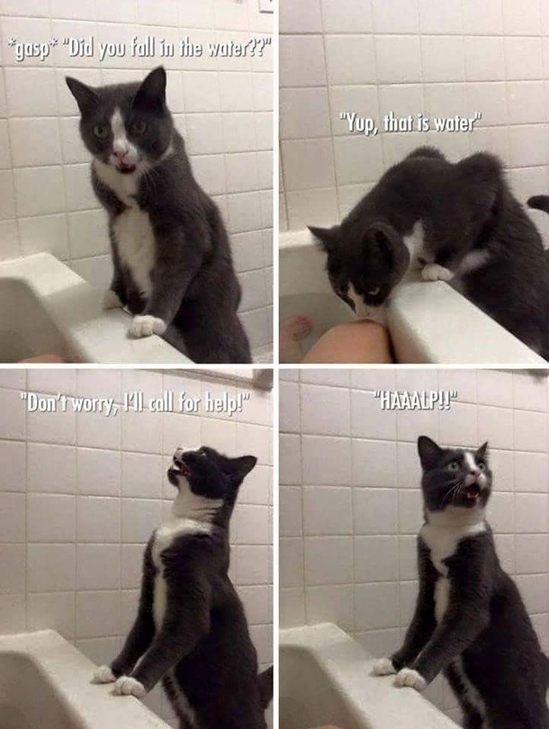 Wait there Ill send help
