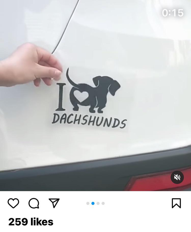 Wait what specifically do you love about the dachshund