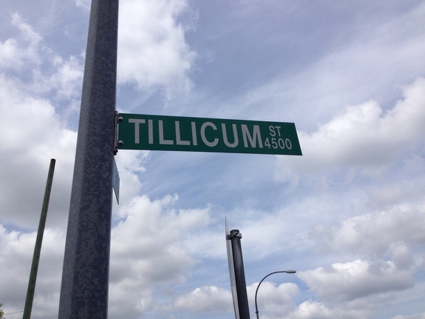 Wait What street am I on