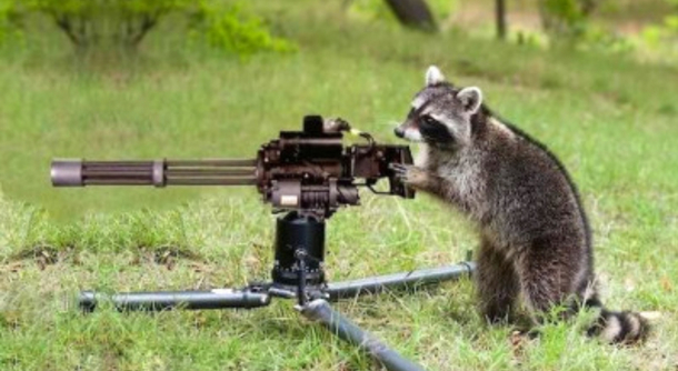 Waiting for thanos